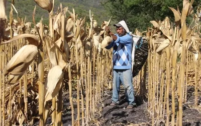NO SÓLO DE PAN… De acciones, pero, ¿de qué acciones?